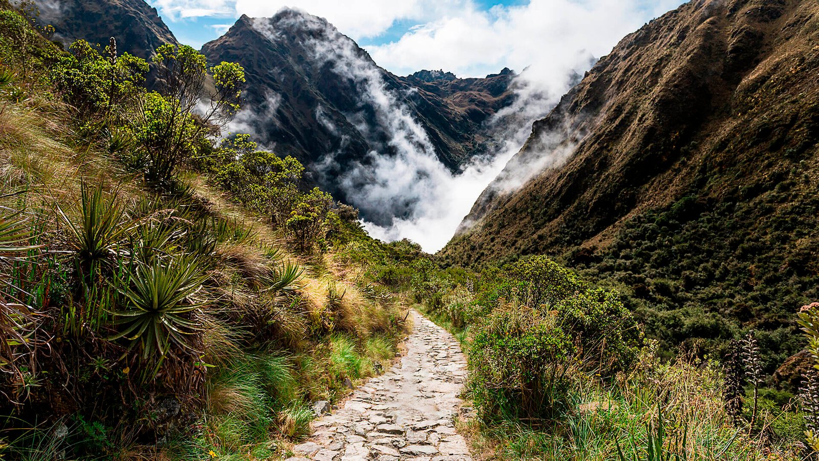 Camino Inca